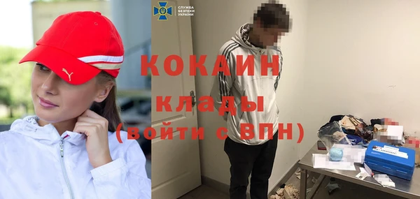 дживик Верхний Тагил